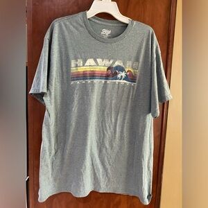 Blue 84 Men's Heather Gray Hawaii Graphic Tee with Retro Rainbow Waves